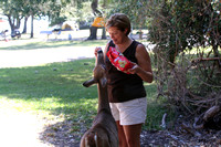 Cindy feeding the deer