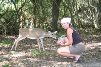 Feeding the deer carrots & crackers