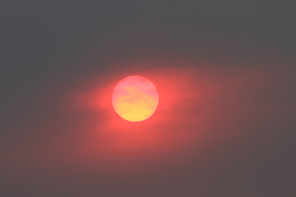 Sunset at State Park
